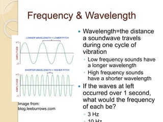 Frequency & Wavelength
 Wavelength=the distance
a soundwave travels
during one cycle of
vibration
◦ Low frequency sounds have
a longer wavelength
◦ High frequency sounds
have a shorter wavelength
 If the waves at left
occurred over 1 second,
what would the frequency
of each be?
◦ 3 Hz
Image from:
blog.leeburrows.com
 