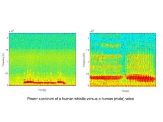 Power spectrum of a human whistle versus a human (male) voice

 