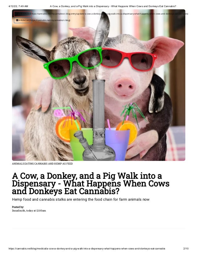 4/12/22, 7:49 AM A Cow, a Donkey, and a Pig Walk into a Dispensary - What Happens When Cows and Donkeys Eat Cannabis?
https://cannabis.net/blog/medical/a-cow-a-donkey-and-a-pig-walk-into-a-dispensary-what-happens-when-cows-and-donkeys-eat-cannabis 2/10
ANIMALS EATING CANNABIS AND HEMP AS FEED
A Cow, a Donkey, and a Pig Walk into a
Dispensary - What Happens When Cows
and Donkeys Eat Cannabis?
Hemp food and cannabis stalks are entering the food chain for farm animals now
Posted by:

DanaSmith, today at 12:00am
 Edit Article (https://cannabis.net/mycannabis/c-blog-entry/update/a-cow-a-donkey-and-a-pig-walk-into-a-dispensary-what-happens-when-cows-and-donkeys-eat-cannabis)
 Article List (https://cannabis.net/mycannabis/c-blog)
 