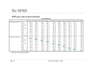 No SPSS
KMO para cada variável individual




 23                                 Célia M. D. Sales - UAL
 