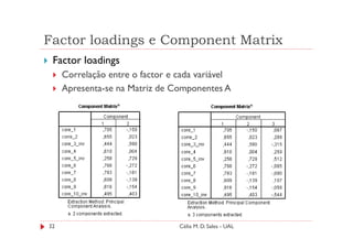 Factor loadings e Component Matrix
 Factor loadings
     Correlação entre o factor e cada variável
     Apresenta-se na Matriz de Componentes A




32                               Célia M. D. Sales - UAL
 