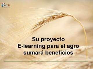 Su proyecto
E-learning para el agro
sumará beneficios

 