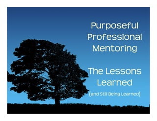Purposeful
Professional
 Mentoring

The Lessons 
  Learned 
(and Still Being Learned)
 