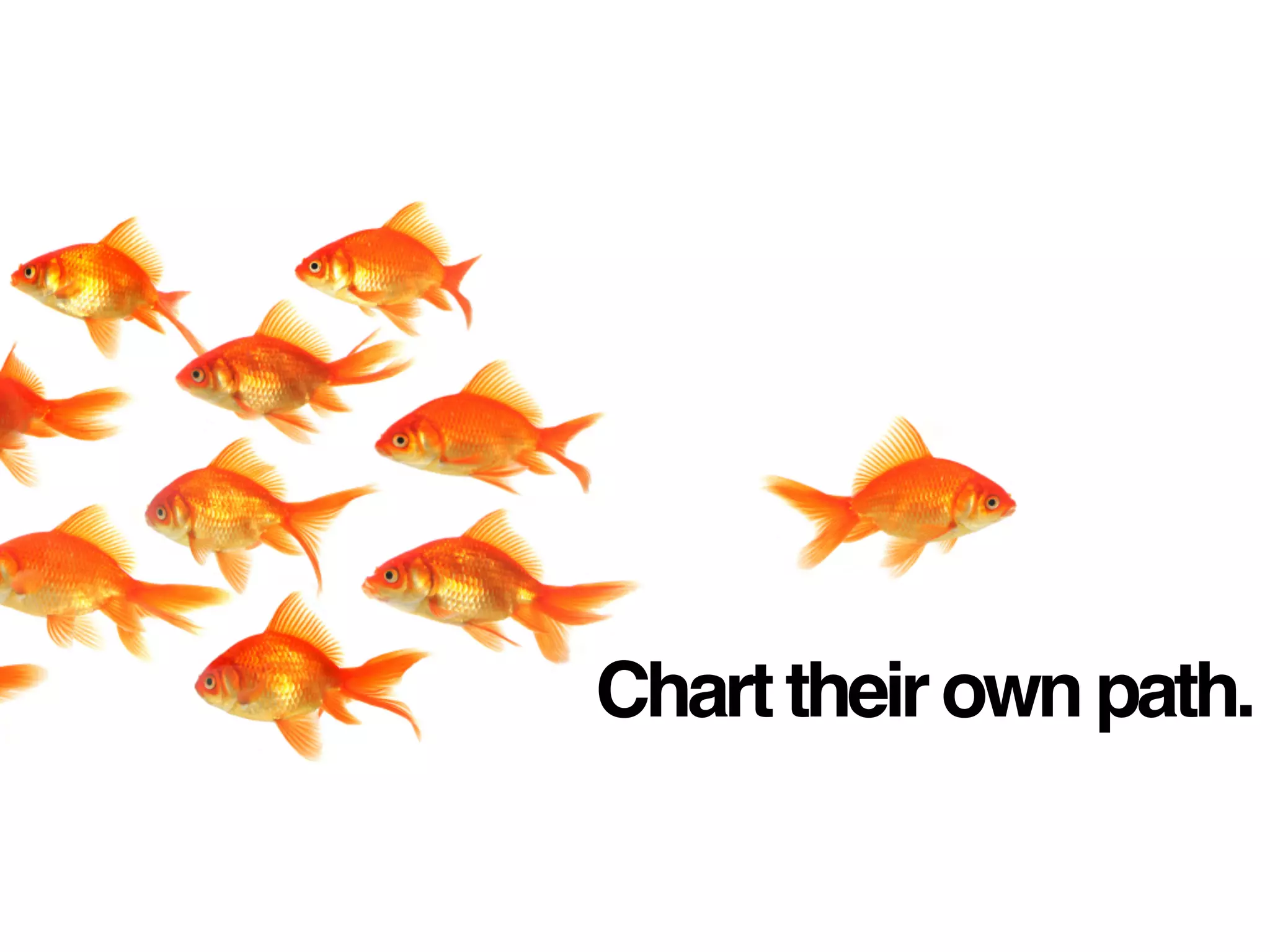 Learn from and with students
how to navigate the online
environment. Help them
avoid mistakes. Help them
understand their self-
presentation and reputation
online. Be a role model.
 