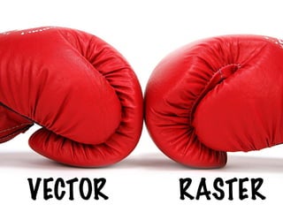 VECTOR RASTER
 