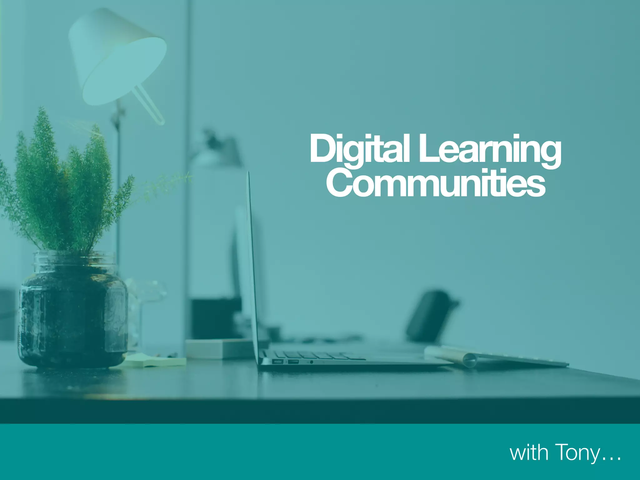 Selective
Viewof
Reality
 