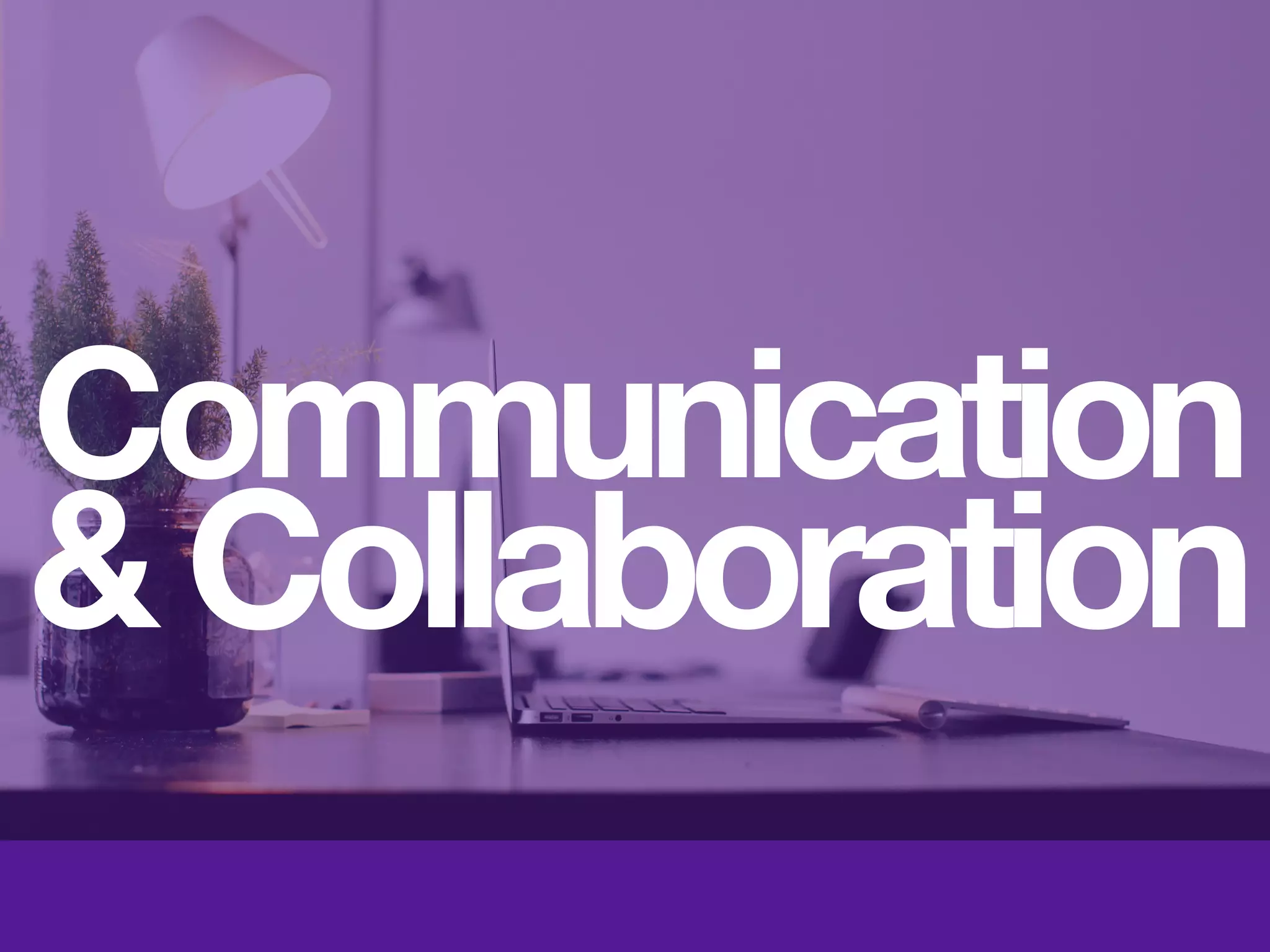 Digital Reputation Mentors
 