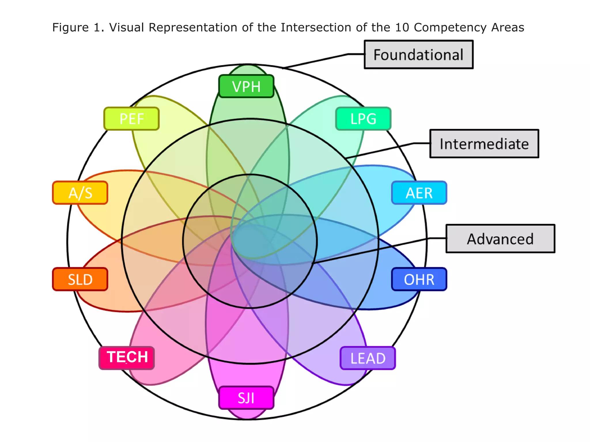Figure 1. Visual Representation of the Intersection of the 10 Competency Areas
 