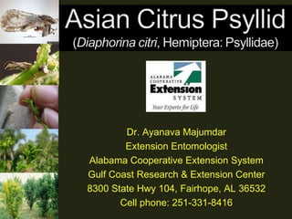 Dr. Ayanava Majumdar Extension Entomologist Alabama Cooperative Extension System Gulf Coast Research & Extension Center 8300 State Hwy 104, Fairhope, AL 36532 Cell phone: 251-331-8416 
