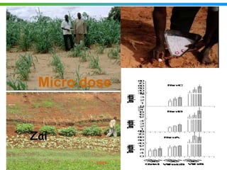 Agricultural water management in the context of climate change