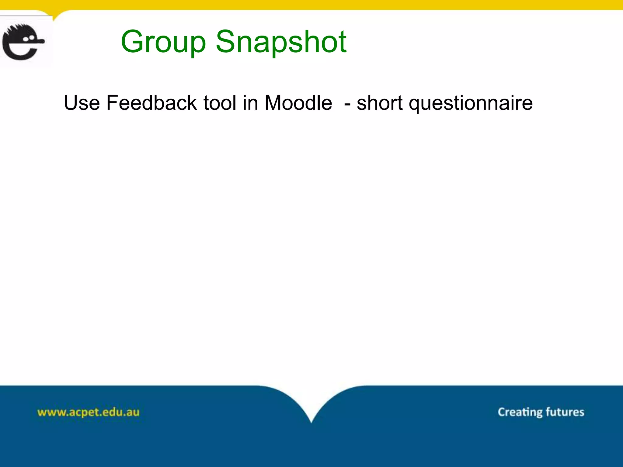 Group Snapshot
Use Feedback tool in Moodle - short questionnaire
 