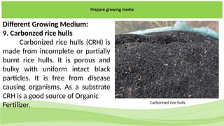 Agricultural cropg production nc ii.pptx