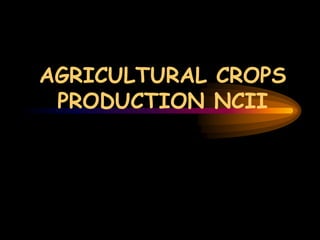 AGRICULTURAL CROPS
PRODUCTION NCII
 