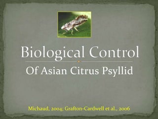 Biological Control Of Asian Citrus Psyllid Michaud, 2004; Grafton-Cardwell et al., 2006 