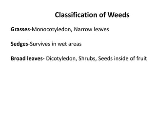 Classification of Weeds
Grasses-Monocotyledon, Narrow leaves
Sedges-Survives in wet areas
Broad leaves- Dicotyledon, Shrubs, Seeds inside of fruit
 