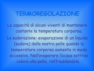 TERMOREGOLAZIONE La capacità di alcuni viventi di mantenere costante la temperatura corporea. La sudorazione: evaporazione di un liquido (sudore) dalla nostra pelle quando la temperatura corporea aumenta in modo eccessivo. Nell’evaporare l’acqua sottrae calore alla pelle, raffreddandola.  