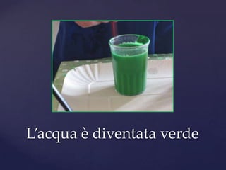 L’acqua è diventata verde
 