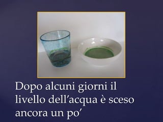 Dopo alcuni giorni il
livello dell’acqua è sceso
ancora un po’
 