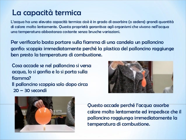 Acqua per le piante e per la vita