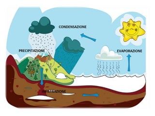 PRESENTAZIONE SUL CICLO DELL'ACQUA (MALVONI - DE ANGELIS)