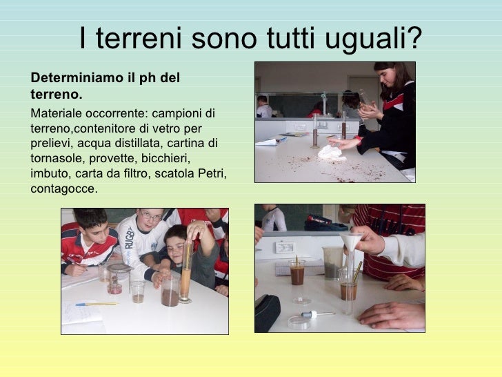 Quella Al Tornasole Indica Il Ph Di Una Sostanza