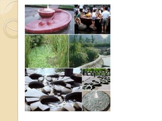 Acquacultura in permacultura
