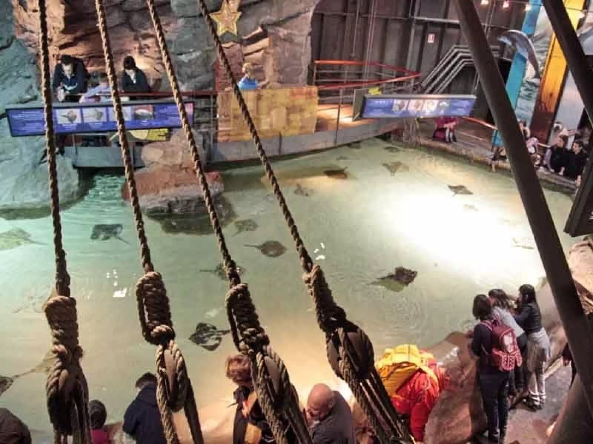 Acquario Di Genova | PPS