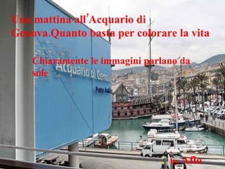 Una mattina all’Acquario di Genova.Quanto basta per colorare la vita Chiaramente le immagini parlano da sole by  Aflo 