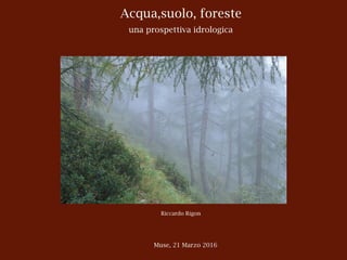 Acqua,suolo, foreste
una prospettiva idrologica
Riccardo Rigon
Muse, 21 Marzo 2016
 