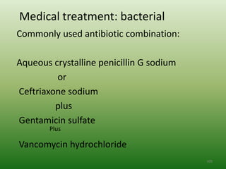Medical treatment: bacterial
Commonly used antibiotic combination:

Aqueous crystalline penicillin G sodium
         or
Ceftriaxone sodium
         plus
Gentamicin sulfate
        Plus

Vancomycin hydrochloride
                                          109
 