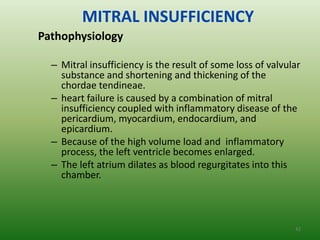 MITRAL INSUFFICIENCY
Pathophysiology

  – Mitral insufficiency is the result of some loss of valvular
    substance and shortening and thickening of the
    chordae tendineae.
  – heart failure is caused by a combination of mitral
    insufficiency coupled with inflammatory disease of the
    pericardium, myocardium, endocardium, and
    epicardium.
  – Because of the high volume load and inflammatory
    process, the left ventricle becomes enlarged.
  – The left atrium dilates as blood regurgitates into this
    chamber.



                                                             42
 