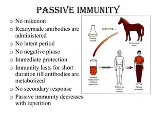 Passive immunity
o No infection
o Readymade antibodies are
administered
o No latent period
o No negative phase
o Immediate protection
o Immunity lasts for short
duration till antibodies are
metabolized
o No secondary response
o Passive immunity decreases
with repetition
 