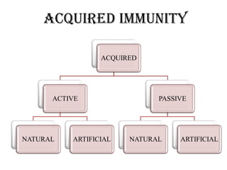 Acquired IMMUNITY
ACQUIRED
ACTIVE
NATURAL ARTIFICIAL
PASSIVE
NATURAL ARTIFICIAL
 