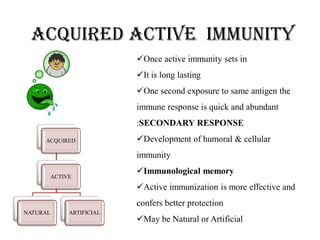 Acquired active IMMUNITY
ACQUIRED
ACTIVE
NATURAL ARTIFICIAL
Once active immunity sets in
It is long lasting
One second exposure to same antigen the
immune response is quick and abundant
:SECONDARY RESPONSE
Development of humoral & cellular
immunity
Immunological memory
Active immunization is more effective and
confers better protection
May be Natural or Artificial
 