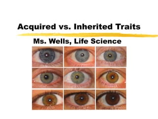 Acquired vs. Inherited Traits Ms. Wells, Life Science 