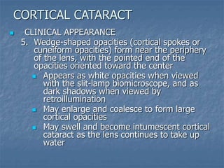  CLINICAL APPEARANCE
5. Wedge-shaped opacities (cortical spokes or
cuneiform opacities) form near the periphery
of the lens, with the pointed end of the
opacities oriented toward the center
 Appears as white opacities when viewed
with the slit-lamp biomicroscope, and as
dark shadows when viewed by
retroillumination
 May enlarge and coalesce to form large
cortical opacities
 May swell and become intumescent cortical
cataract as the lens continues to take up
water
CORTICAL CATARACT
 