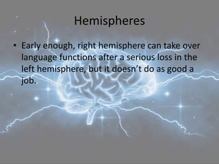 Hemispheres
• Early enough, right hemisphere can take over
language functions after a serious loss in the
left hemisphere, but it doesn’t do as good a
job.
 