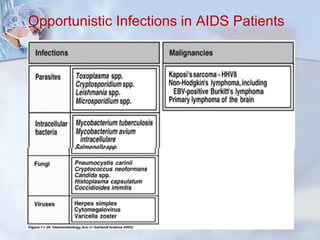 Opportunistic Infections in AIDS Patients
 