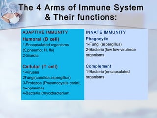The 4 Arms of Immune SystemThe 4 Arms of Immune System
& Their functions:& Their functions:
ADAPTIVE IMMUNITY INNATE IMMUNITY
Humoral (B cell)
1-Encapsulated organisms
(S.pneumo; H. flu)
2-Giardia
Phagocytic
1-Fungi (aspergillus)
2-Bacteria (low low-virulence
organisms
Cellular (T cell)
1-Viruses
2Fungi(candida,aspergillus)
3-Protozoa (Pneumocystis carinii,
toxoplasma)
4-Bacteria (mycobacterium
Complement
1-Bacteria (encapsulated
organisms
 