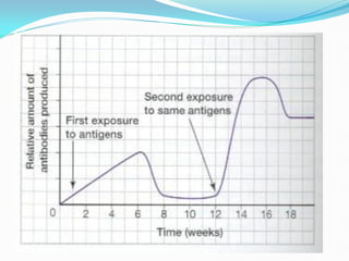 Primary .vs. Secondary Immune Response
 