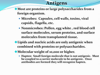 Antigens
Most are proteins or large polysaccharides from a
foreign organism.
 Microbes: Capsules, cell walls, toxins, viral
capsids, flagella, etc.
 Nonmicrobes: Pollen, egg white , red blood cell
surface molecules, serum proteins, and surface
molecules from transplanted tissue.
Lipids and nucleic acids are only antigenic when
combined with proteins or polysaccharides.
Molecular weight of 10,000 or higher.
 Hapten: Small foreign molecule that is not antigenic. Must
be coupled to a carrier molecule to be antigenic. Once
antibodies are formed they will recognize hapten.
 
