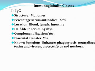 Immunoglobulin Classes
I. IgG
Structure: Monomer
Percentage serum antibodies: 80%
Location: Blood, lymph, intestine
Half-life in serum: 23 days
Complement Fixation: Yes
Placental Transfer: Yes
Known Functions: Enhances phagocytosis, neutralizes
toxins and viruses, protects fetus and newborn.
 