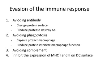 Immunity to bacteria and related organisms in animal | PPTX