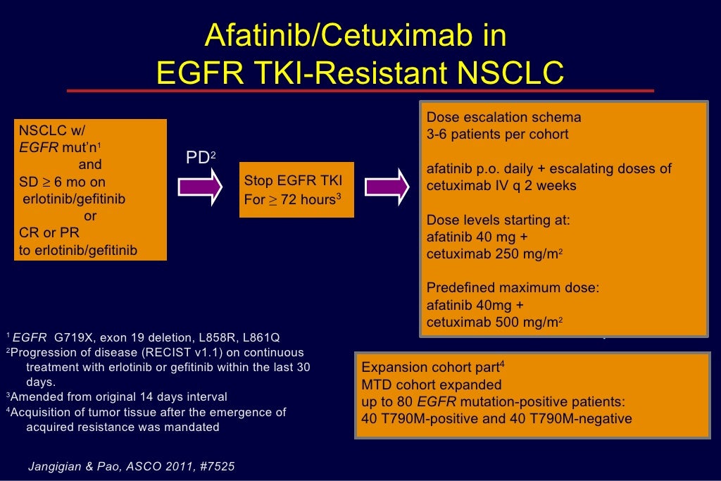 Afatinib/Cetuximab in EGFR TKI-Resistant NSCLC