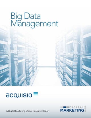 Big Data
   Management




A Digital Marketing Depot Research Report
 