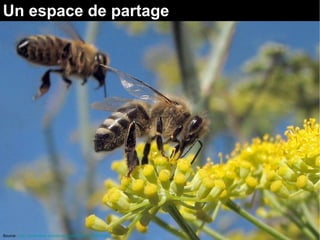 Un espace de partage
Source : http://www.flickr.com/photos/wolfraven/1334244592
 