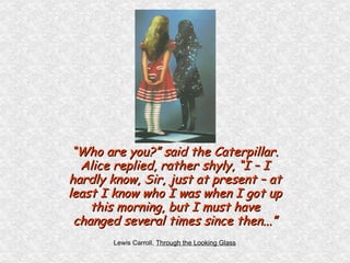 “ Who are you?” said the Caterpillar. Alice replied, rather shyly, “I – I hardly know, Sir, just at present – at least I know who I was when I got up this morning, but I must have changed several times since then...” Lewis Carroll,  Through the Looking Glass 