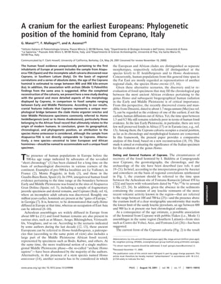 A cranium for the earliest Europeans: Phylogenetic
position of the hominid from Ceprano, Italy
G. Manzi*†‡, F. Mallegni*§, and A. Ascenzi*¶
*Istituto Italiano di Paleontologia Umana, Piazza Mincio 2, 00198 Rome, Italy; †Dipartimento di Biologia Animale e dell’Uomo, Universita di Roma
                                                                                                                                         `
‘‘La Sapienza,’’ Piazzale Aldo Moro 5, 00185 Rome, Italy; and §Dipartimento di Scienze Archeologiche, Universita di Pisa, Via Santa Maria 55,
                                                                                                               `
56100 Pisa, Italy

Communicated by F. Clark Howell, University of California, Berkeley, CA, May 24, 2001 (received for review November 10, 2000)

The human fossil evidence unequivocally pertaining to the ﬁrst                 the European and African clades are distinguished as separate
inhabitants of Europe at present includes the sample from Atapu-               morphotypes, respectively referable (if distinguished at the
erca-TD6 (Spain) and the incomplete adult calvaria discovered near             species level) to H. heidelbergensis and to Homo rhodesiensis.
Ceprano, in Southern Latium (Italy). On the basis of regional                  Concurrently, human populations from this general time span in
correlations and a series of absolute dates, the age of the Ceprano            the Far East are mostly regarded as representatives of another
hominid is estimated to range between 800 and 900 kilo-annum                   regional clade, the species Homo erectus (15, 16).
(ka). In addition, the association with archaic (Mode 1) Paleolithic              Given these alternative scenarios, the discovery and or re-
ﬁndings from the same area is suggested. After the completed                   evaluation of fossil specimens that may fill the chronological gap
reconstruction of the calvaria, we present here a new study dealing            between the most ancient African evidence pertaining to the
with the general and more detailed aspects of the morphology                   genus Homo and subsequent biogeographical human radiation
displayed by Ceprano, in comparison to fossil samples ranging                  in the Early and Middle Pleistocene is of critical importance.
between Early and Middle Pleistocene. According to our results,                From this perspective, the recently discovered crania and man-
cranial features indicate that Ceprano represents a unique mor-                dible from Dmanisi, dated to about 1.7 mega-annum (Ma) (see ref.
phological bridge between the clade Homo ergaster erectus and                  7), can be regarded as the evidence of one of the earliest, if not the
later Middle Pleistocene specimens commonly referred to Homo                   earliest, human diffusions out of Africa. Yet, the time span between
heidelbergensis (and or to Homo rhodesiensis), particularly those              1.5 and 0.5 Ma still remains relatively poor in terms of human fossil
belonging to the African fossil record that ultimately relates to the          evidence. In the late Early Pleistocene, in particular, there are very
origin of modern humans. In conclusion, given its geographical,                few well preserved fossils in Africa (17) or in Eurasia (see, e.g., ref.
chronological, and phylogenetic position, an attribution to the                13). Among them, the Ceprano calvaria occupies a crucial position,
species Homo antecessor is considered, although the sample from                as far as its chronology and morphological features are concerned.
Atapuerca-TD6 is not directly comparable to Ceprano. Alterna-                  In this framework, the present paper provides a comparative
tively, a new species—ancestral to later European and African                  analysis of this fossil, based on a new reconstruction (18, 19). This
hominines—should be named to accommodate such a unique fossil                  study is aimed at evaluating the significance of the Italian specimen
specimen.                                                                      for the evolution of the genus Homo.

                                                                               Dating and General Features of Ceprano. The circumstances of
T   he presence of human populations in Europe before the
    500-ka age range indicated by advocates of the so-called
‘‘short chronology’’ (1) has been claimed for a long time on the
                                                                               recovery of the fossil hominid by I. Biddittu at Campogrande
                                                                               near Ceprano, the geostratigraphy, the chronology, and the
basis of archaeological discoveries in various corners of the                  archaeology of the site have been described (see refs. 6 and
continent. Examples of pre-500-ka localities are Le Vallonet, in               19–21). In brief, according to the interpretation given by Ascenzi
France (2), Monte Poggiolo, in Italy (3), and those in the                     and coworkers on the basis of regional correlations synthesized
Guadix-Baza Basin, Spain (4). In 1994, unequivocal human fossil                in Fig. 1, the cranium should be referred to the time span
evidence pertaining to the time range at the boundary between                  between the Acheulean site of Fontana Ranuccio [about 458 ka
Early and Middle Pleistocene was found in the sites of Atapuerca               (22)] and layers with volcaniclasts dated by 40Ar 39Ar to around




                                                                                                                                                                          ANTHROPOLOGY
Gran Dolina (Spain; ref. 5), including a sample of fragmentary                 1 Ma (23, 24). In addition, given the absence in the sediments
juvenile specimens and dental remains, and Ceprano (Italy; ref. 6),            containing the cranium of any leucitic remnants of the more
where an incomplete adult calvaria was discovered. Roughly one                 recent volcanic activity known in the region—that are referred
million years earlier, hominids are present at the ‘‘gates of Europe,’’        to the range between 100 and 700 ka (25)—and the presence above
in Georgia (7). It is, however, to be demonstrated that early Homo             the cranium itself of a clear stratigraphic unconformity that marks
diffused in Europe at that time, whereas an occupation of East Asia            the lowest limit of the sandy leucitic pyroclasts, an age between 800
can be inferred (8–10).                                                        and 900 ka is at present our best chronological estimate.
   Acheulean assemblages are widely diffused in Europe from                       As a consequence of the age estimate, a possible association
about 600 ka (11) and fossil human remains are also present in                 of the hominid from Ceprano with pebble flakes (i.e., Mode 1)
various sites, such as at Mauer, Arago, Bilzinsgleben, Verteszol-
                                                              ´    ¨           assemblages in the same region (Southern Latium)—from sites
los, Visogliano, and so on. According to the scenario indicated
 ¨                                                                             such as Castro dei Volsci, Arce, and Fontana Liri (26)—has been
by some authors during the last decade (12, 13), these ancient                 suggested.
Europeans can be referred to Homo heidelbergensis, a paleospe-                    The current form of the Ceprano calvaria (Fig. 2) is the result
cies that (according to the same point of view) also includes a
large part of the Middle Pleistocene African fossil record,                    Abbreviations: ka, kilo-annum (thousand years ago); Ma, mega-annum (million years ago);
represented by specimens such as Bodo, Kabwe, and others. At                   NJ, neighbor-joining; UPGMA, unweighted pair group method using arithmetic averages.
the same time, the more traditional notion of a single multire-                ‡To   whom reprint requests should be addressed. E-mail: giorgio.manzi@uniroma1.it.
gional Middle Pleistocene phase—the so-called ‘‘archaic Homo                   ¶Deceased   December 17, 2000.
sapiens’’—have been abandoned by the majority of the authors.                  The publication costs of this article were defrayed in part by page charge payment. This
Alternatively, in the presence of a stem species named Homo                    article must therefore be hereby marked “advertisement” in accordance with 18 U.S.C.
antecessor (14), another scenario has to be considered in which                §1734 solely to indicate this fact.



www.pnas.org cgi doi 10.1073 pnas.151259998                                                      PNAS      August 14, 2001       vol. 98     no. 17      10011–10016
 