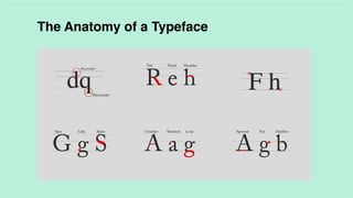 The Anatomy of a Typeface

 