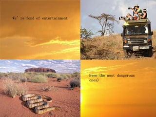 We’re fond of entertainment




                              Even the most dangerous
                              ones)
 